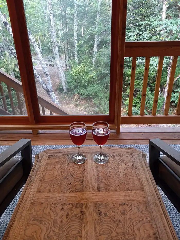 Photo of two glasses full with wine on the back deck table
